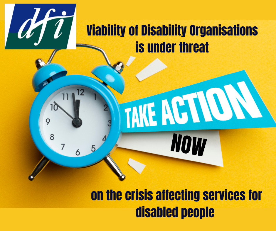 A call to action from Disability Federation Ireland -